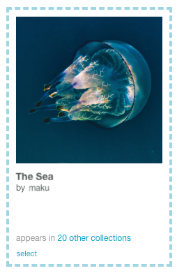 Image of a selected item